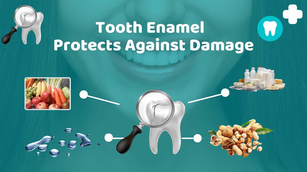tooth Enamel